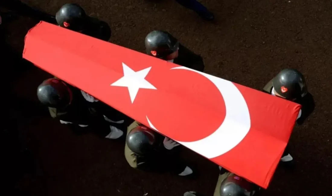 Hatay'ın İskenderun ilçesinde vatani görevini yapan ve yüksek ateş şikayetiyle