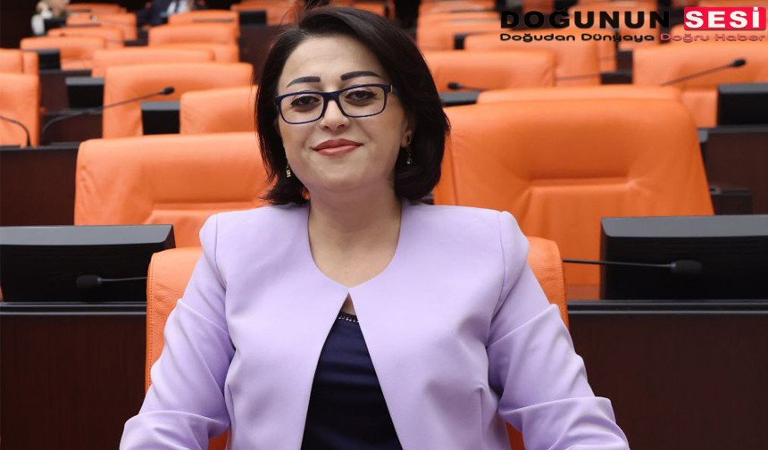 DEM Parti Hakkari Milletvekili Öznur Bartın, Bolu F Tipi Yüksek