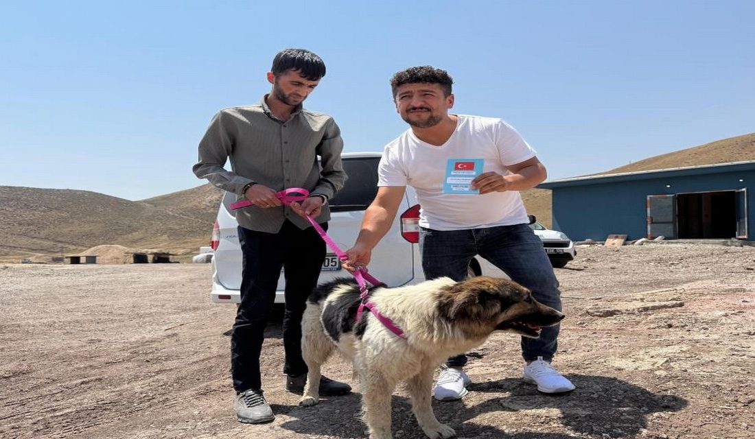 Hakkari'nin Yüksekova ilçesinde hayatını kaybeden sahibi Muğdat Esener'in mezarından ayrılmayan