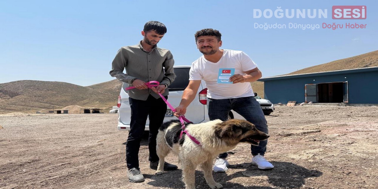 Hakkari'nin Yüksekova ilçesinde hayatını kaybeden sahibi Muğdat Esener'in mezarından ayrılmayan
