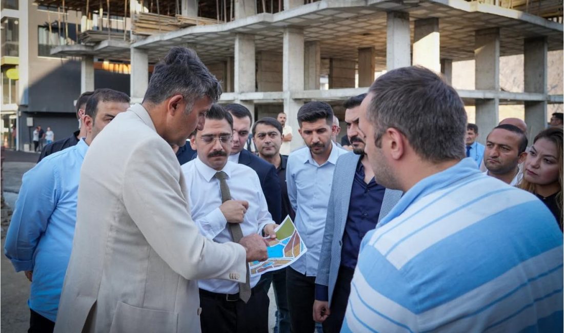 Hakkâri Valisi Ali Çelik, Hakkâri Devlet Hastanesi Acil Servis Girişine