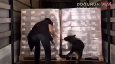 Hakkâri – Esendere Gümrük Muhafaza Kaçakçılık ve İstihbarat Müdürlüğü ekipleri