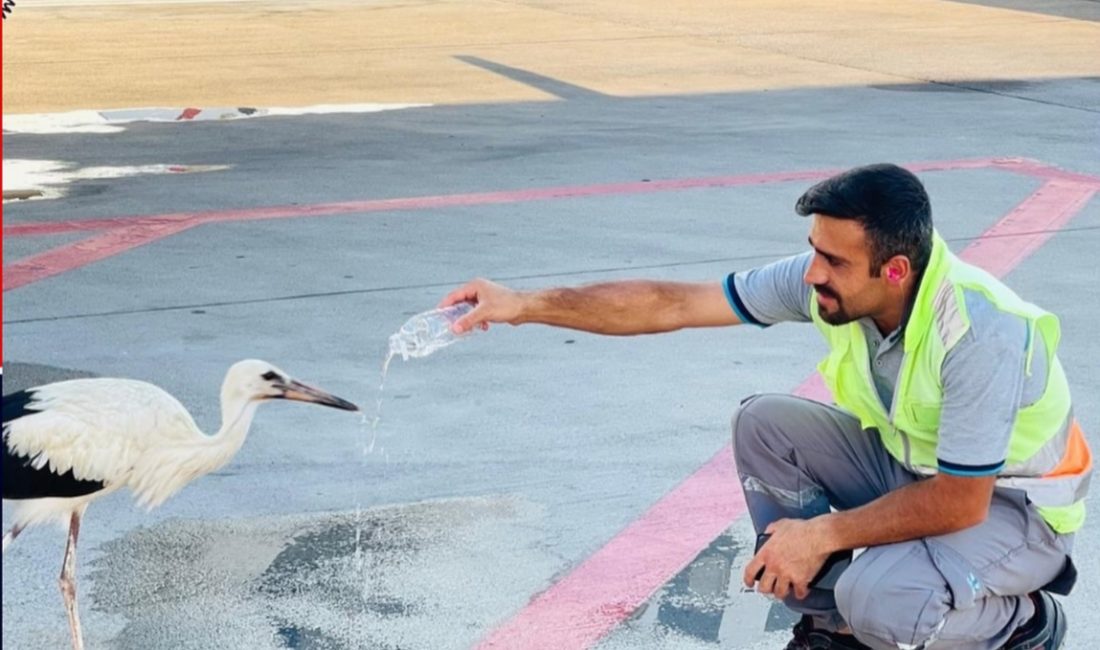 Antalya Havalimanı’nda yaşanan ilginç ve bir o kadar da duygu