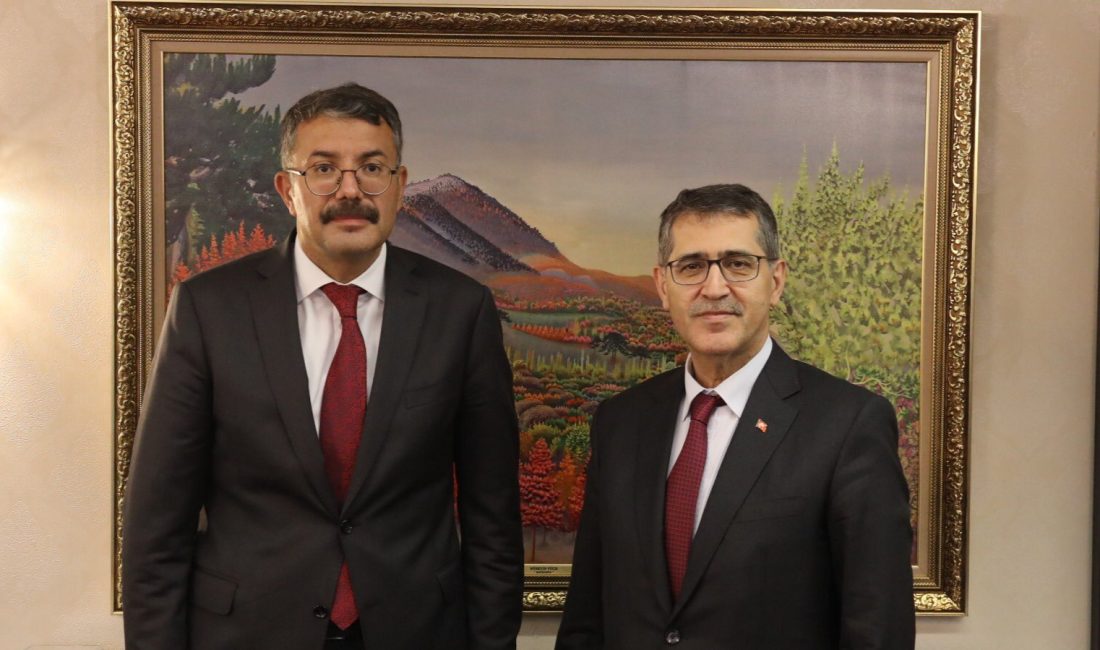 Hakkâri Valisi ve Belediye Başkan Vekili Ali Çelik, Cumhurbaşkanlığı Strateji