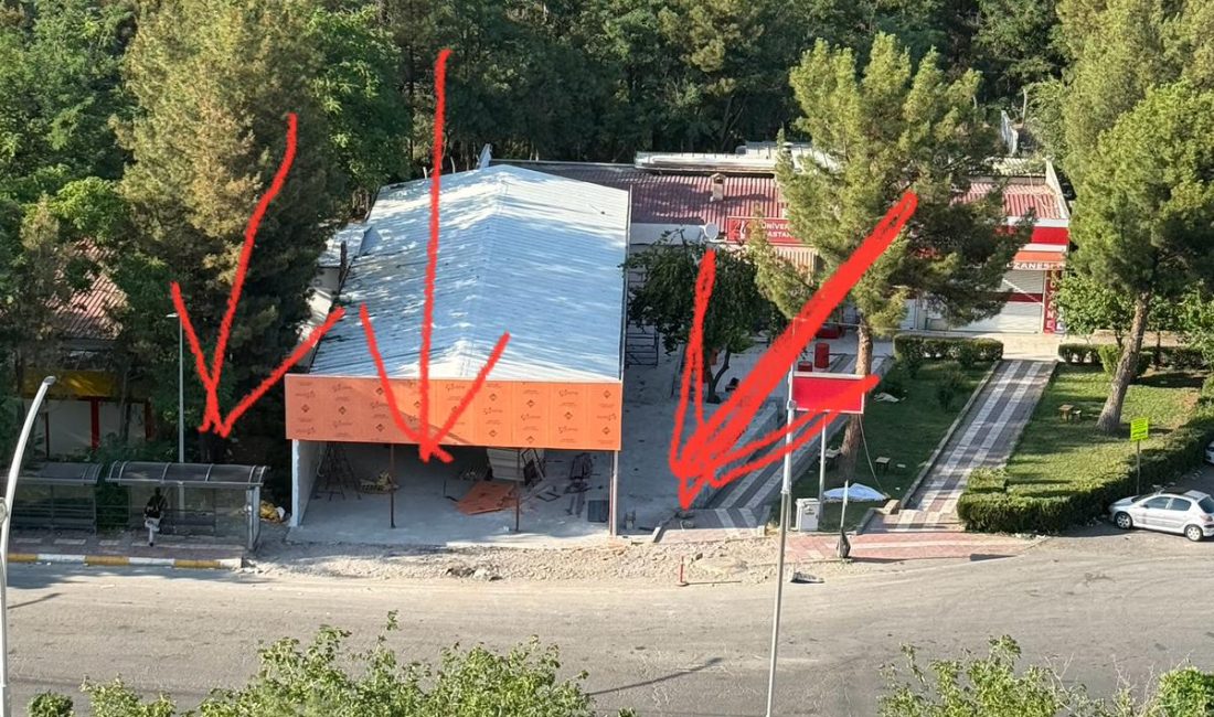 Diyarbakır’da bulunan Dicle Üniversitesi yerleşkesinde bir şahsın ağaçları keserek kendine