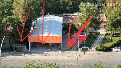 Diyarbakır’da bulunan Dicle Üniversitesi yerleşkesinde bir şahsın ağaçları keserek kendine