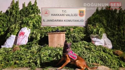 Hakkâri İl Jandarma Komutanlığı ekipleri, uyuşturucu ile mücadele kapsamında yürüttüğü