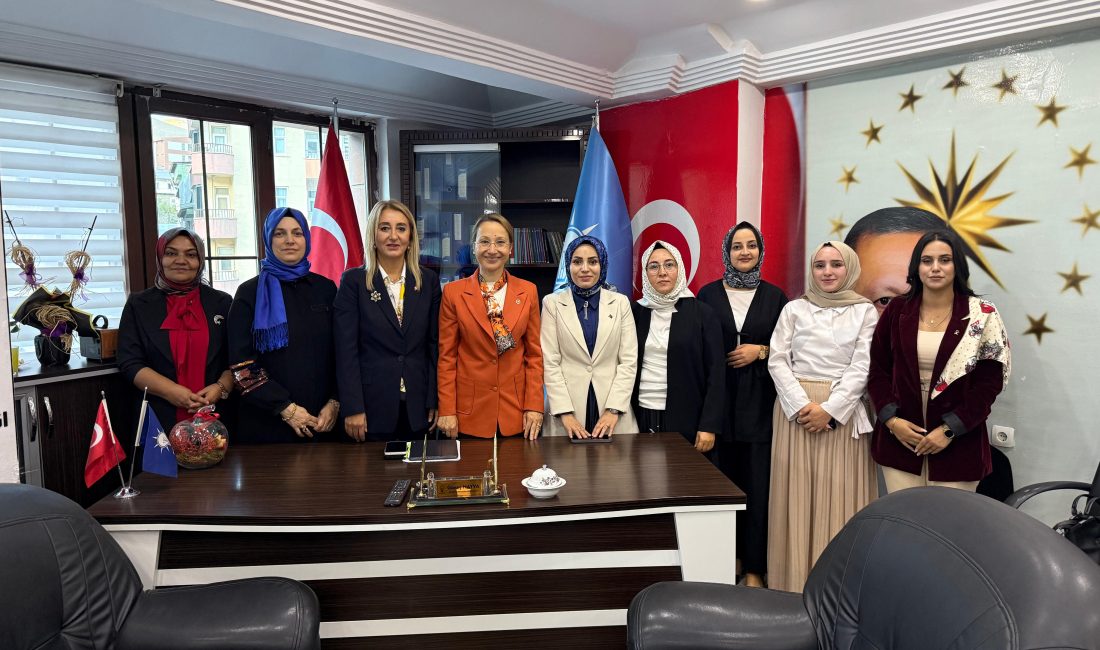 AK Parti Hakkari Kadın Kolları, kentin ilk danışma meclisini büyük