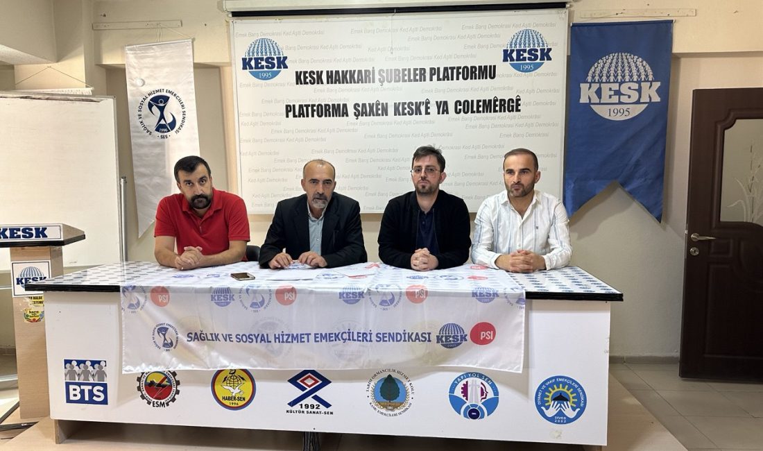 Sağlık ve Sosyal Hizmet Emekçileri Sendikası (SES) Hakkari Şubesi, kent