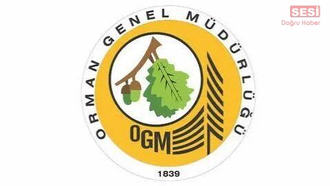 Orman Genel Müdürlüğü (OGM), engelli ve eski hükümlü/TMY statüsünde toplam