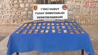 Milli Savunma Bakanlığı (MSB), Hakkari hudut hattında gerçekleştirilen arama-tarama faaliyetinde