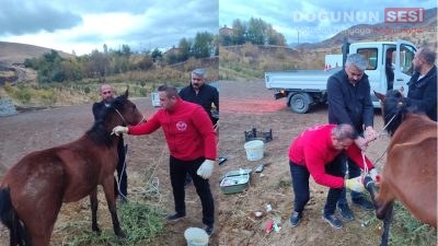 Hakkari’nin Otluca köyü Hidroelektrik Santrali (HES) yakınlarında sol arka ayağı