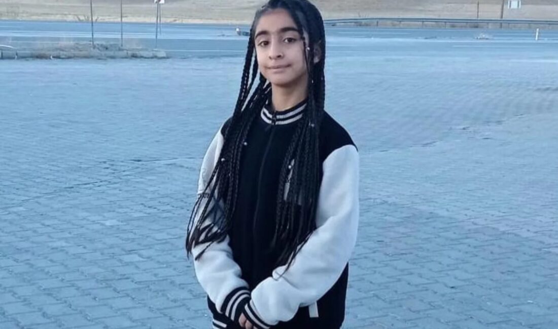 Hakkarili Öğrenciden Cumhuriyet Temalı Yarışmada Gurur Verici Başarı! Millî Eğitim Bakanlığı Temel Eğitim Genel Müdürlüğü tarafından ülke genelinde