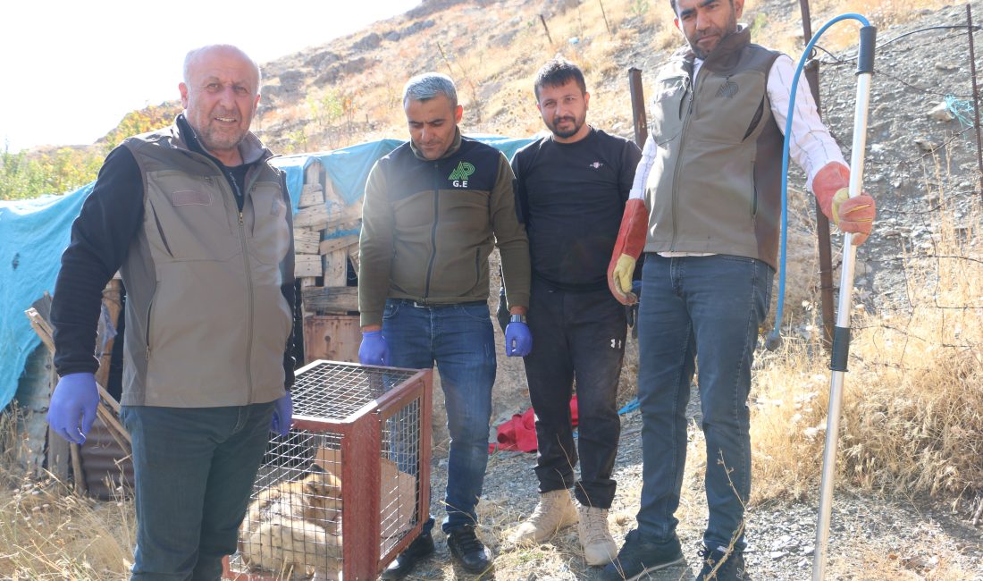 Hakkari’nin Gazi Mahallesinde Örnek Davranış Hakkari’nin Gazi Mahallesi’nde sabah saatlerinde yaşanan olay, duyarlı bir vatandaşın