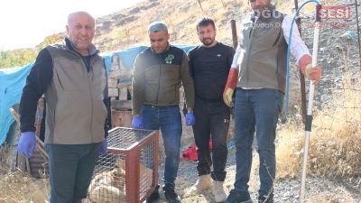 Hakkari’nin Gazi Mahallesi’nde sabah saatlerinde yaşanan olay, duyarlı bir vatandaşın