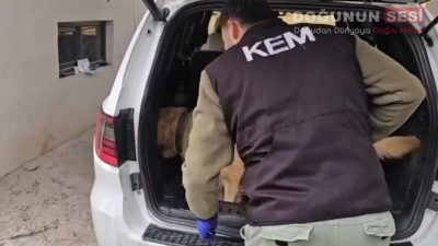 Üzümlü Sınır Kapısında Rekor Uyuşturucu Operasyonu Hakkari’nin Çukurca ilçesinde bulunan Üzümlü Sınır Kapısı’nda, Üzümlü Gümrük Muhafaza