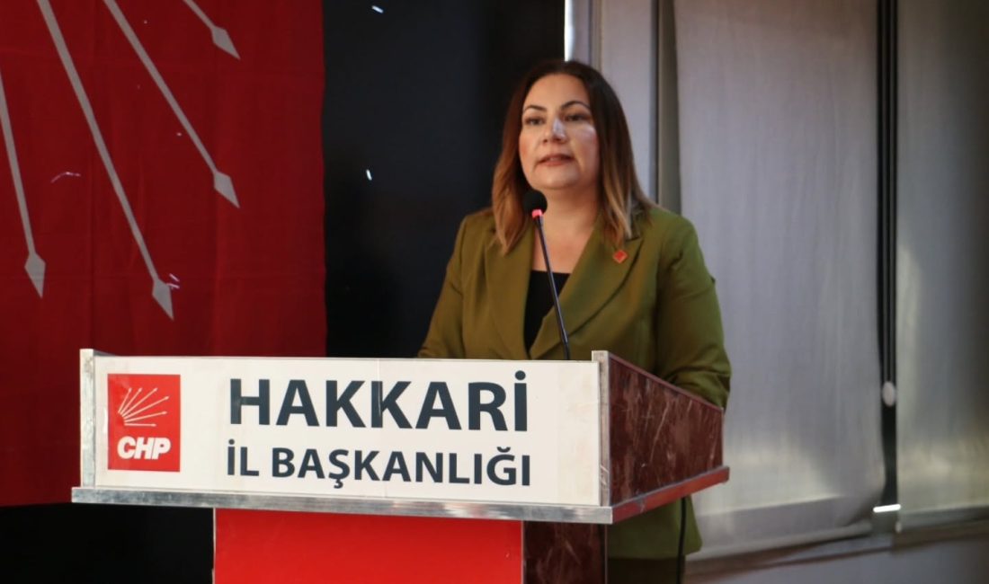 SUZAN ÇAKIRBEYLİ: GENÇLERİMİZİN HAYATINA SAHİP ÇIKMALIYIZ! Hakkari ve Yüksekova son günlerde iki genç yaşamın trajik bir
