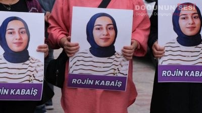 TBMM Genel Kurulu’nda DEM Parti tarafından, 2024 yılında Van Gölü