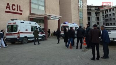 Hakkari’nin Ağaçdibi yolu üzerinde meydana gelen trafik kazasında iki araç