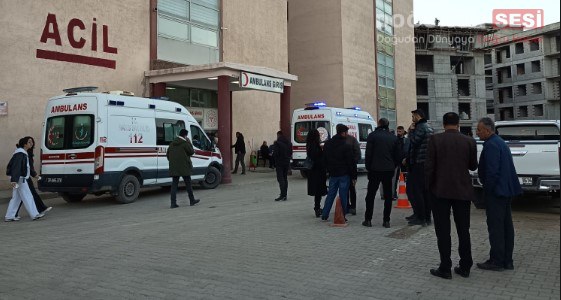 Hakkari’nin Ağaçdibi yolu üzerinde meydana gelen trafik kazasında iki araç