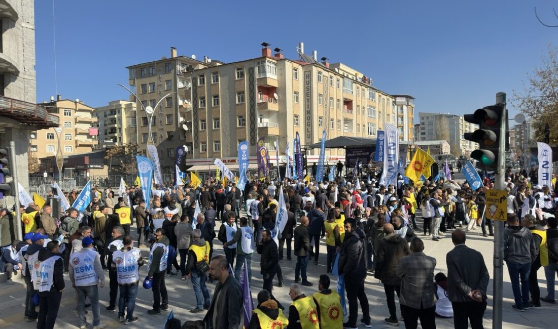 Van’da bugün Musa Anter Parkın'da KESK öncülüğünde düzenlenen “Halk İçin