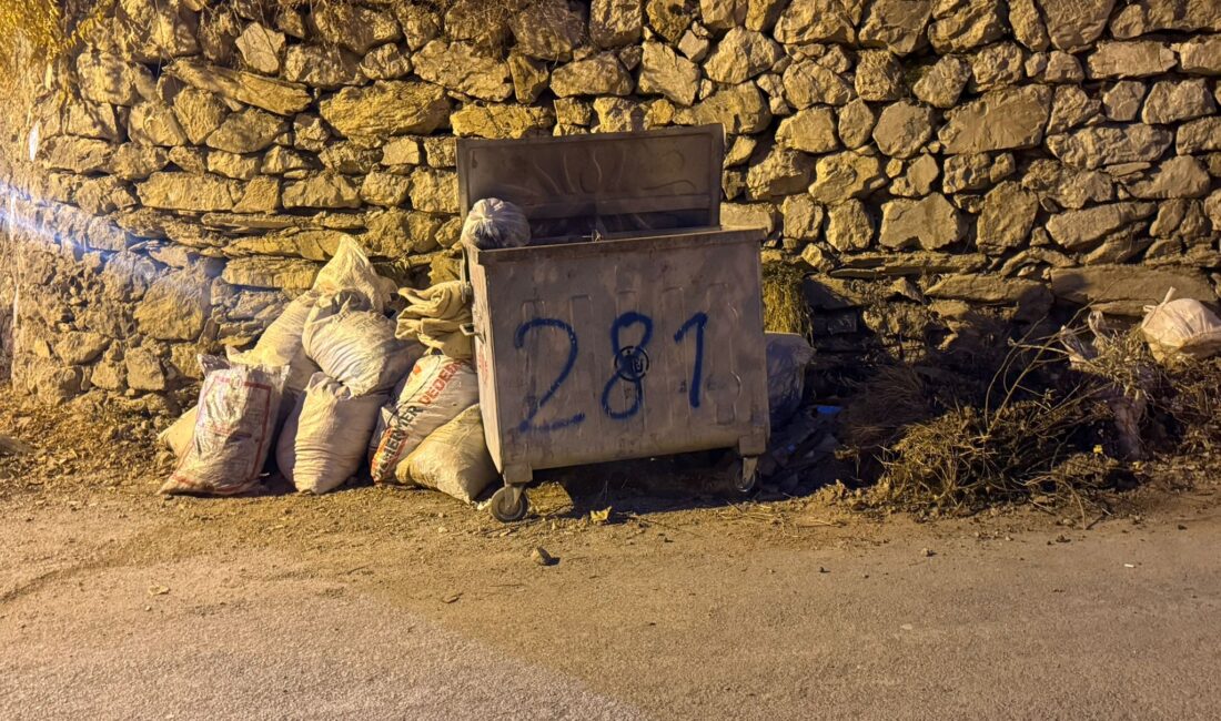 Hakkari Belediyesi, kentte çevre ve görüntü kirliliğine neden olan moloz