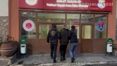 Hakkari İl Jandarma Komutanlığınca aranan şahısların yakalanmasına yönelik yürütülen titiz