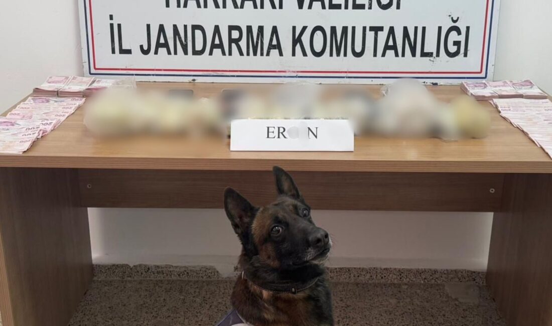 Hakkari İl Jandarma Komutanlığı ekipleri, narkotik suçlarla mücadele kapsamında önemli