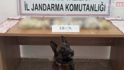 Hakkari İl Jandarma Komutanlığı ekipleri, narkotik suçlarla mücadele kapsamında önemli