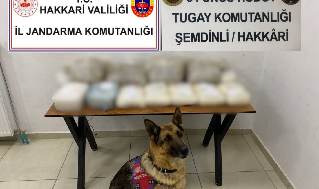 Hakkari İl Jandarma Komutanlığı tarafından Narkotik Suçlarla Mücadele kapsamında yürütülen