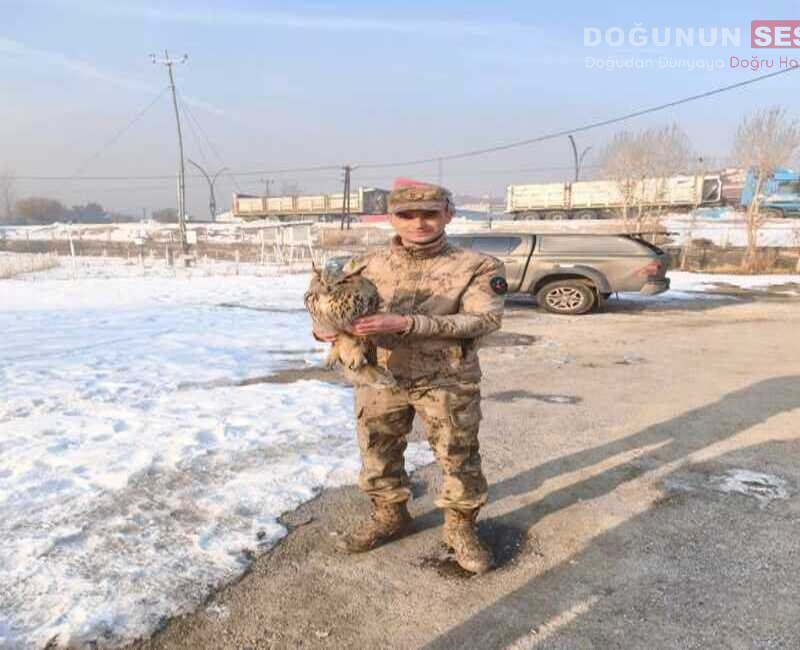 Hakkari İl Jandarma Komutanlığına bağlı Yüksekova Efeler Jandarma Özel Harekat