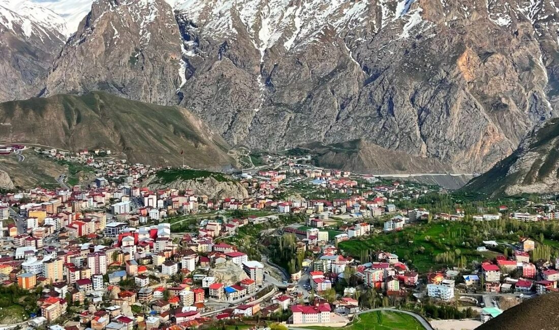 Hakkari’de meydana gelen talihsiz bir olayda, 40 yaşındaki H.T. adlı