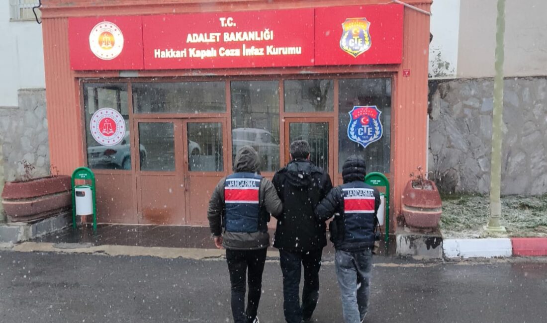 Hakkari İl Jandarma Komutanlığı tarafından aranan şahısların yakalanmasına yönelik yürütülen