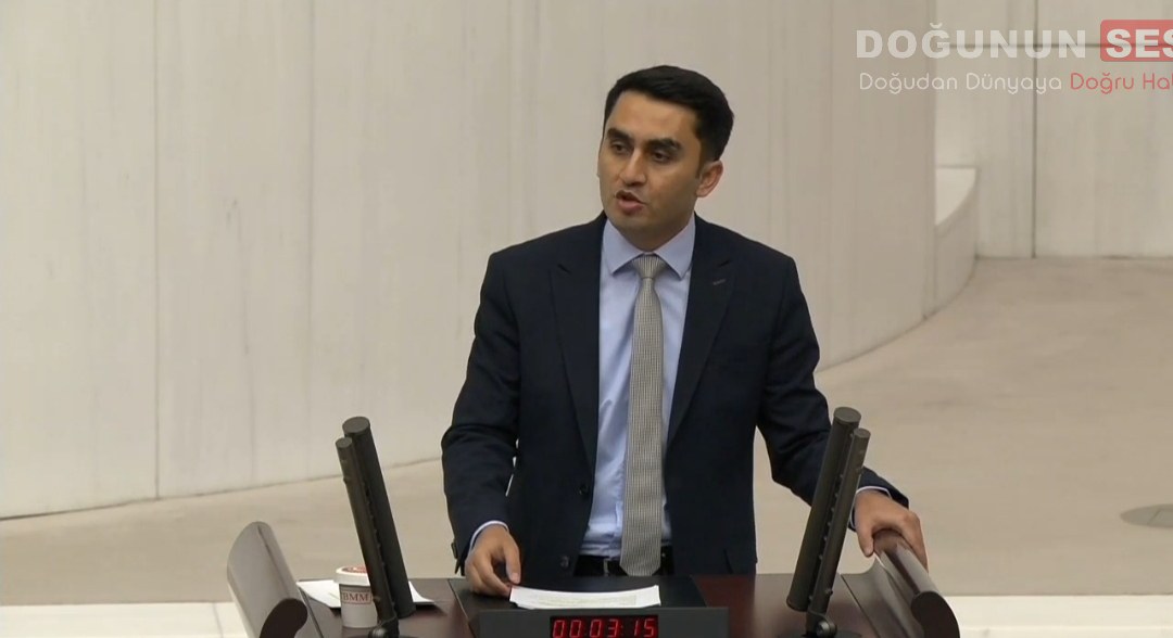 DEM Parti Hakkari Milletvekili Vezir Coşkun Parlak, TBMM Genel Kurulun'da