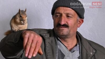 Van’ın Bahçesaray ilçesinde yaşayan Şakir Mitan, doğada bitkin halde bulduğu