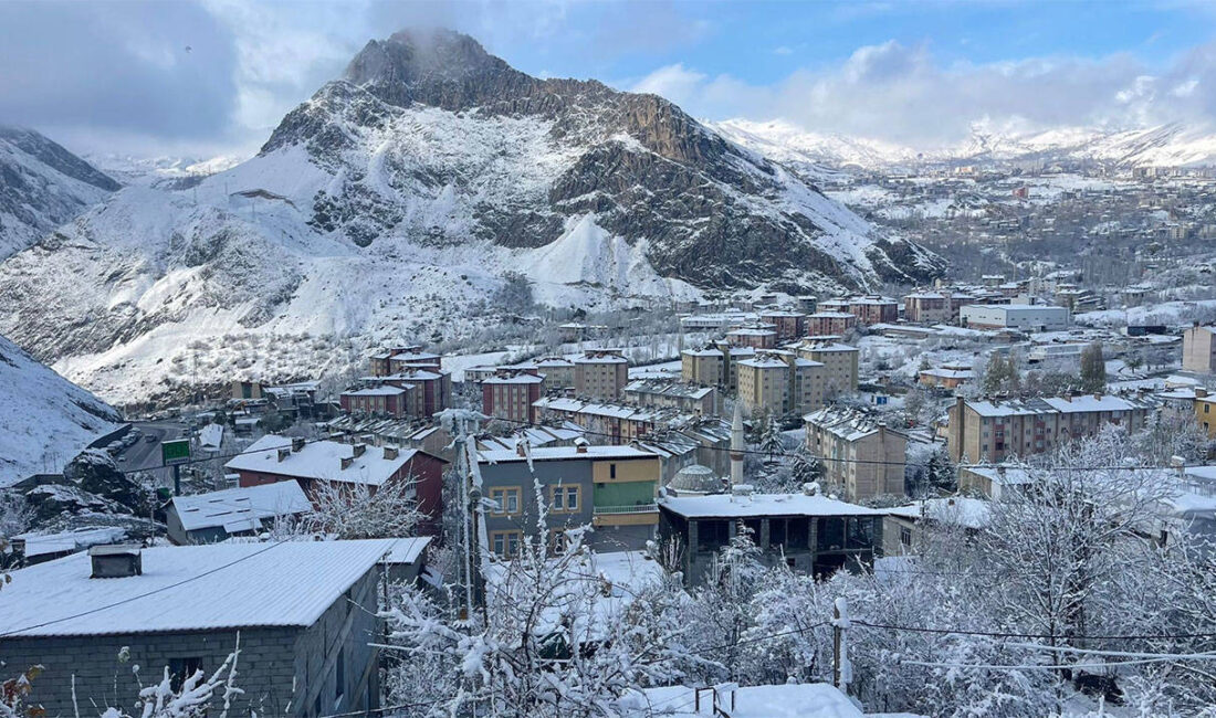 Hakkari’de meydana gelen talihsiz bir olayda, 40 yaşındaki H.T. adlı