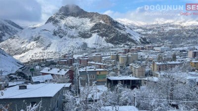 Hakkari’de meydana gelen talihsiz bir olayda, 40 yaşındaki H.T. adlı