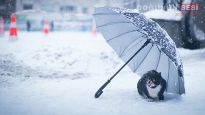 Meteoroloji 14. Bölge Müdürlüğü (Van) tarafından yayımlanan 13 Aralık 2025