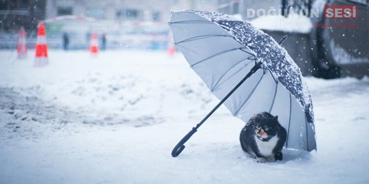 Meteoroloji 14. Bölge Müdürlüğü (Van) tarafından yayımlanan 13 Aralık 2025