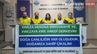 Birlikte Yaşamak Mümkün: Sokak Hayvanları Bu Kentin Bir Parçası