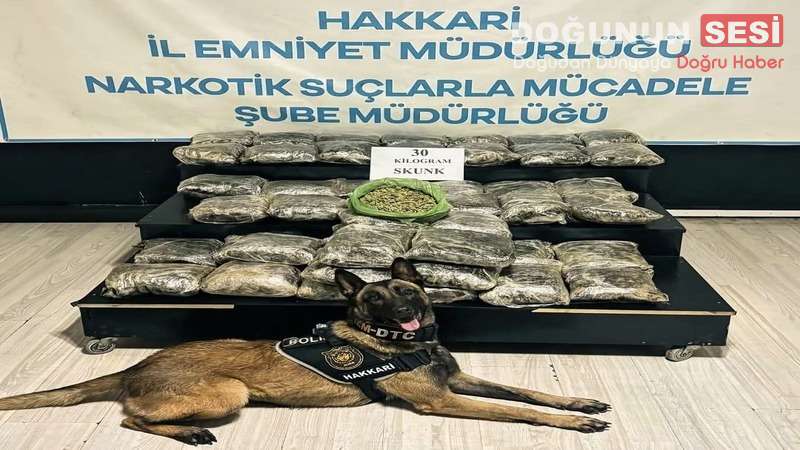 Hakkari’nin Yüksekova ilçesinde güvenlik güçleri tarafından durdurulan hafif ticari kapalı