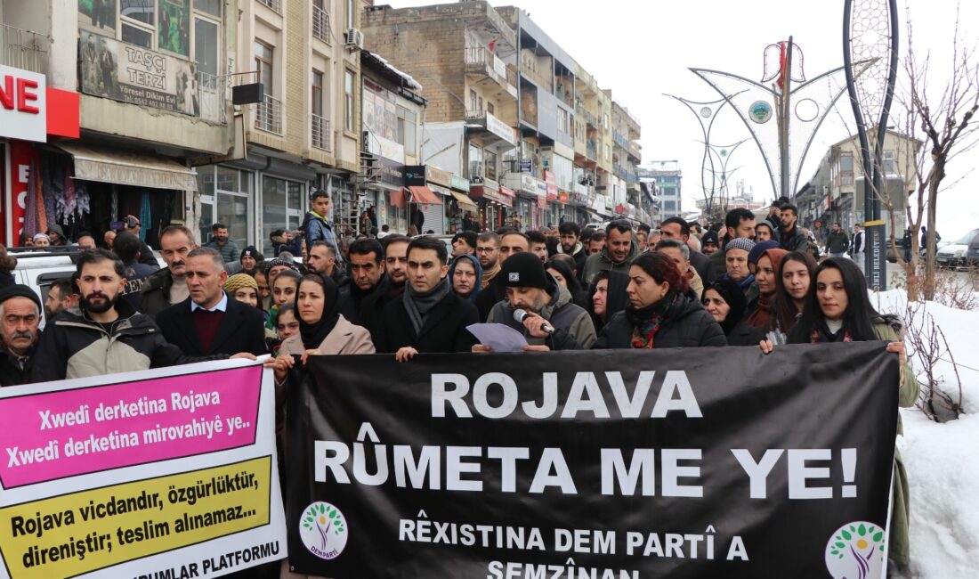 DEM Parti Şemdinli İlçe Örgütü ile Demokratik Kurumlar Platformu, Rojava’ya