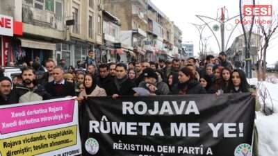 DEM Parti Şemdinli İlçe Örgütü ile Demokratik Kurumlar Platformu, Rojava’ya