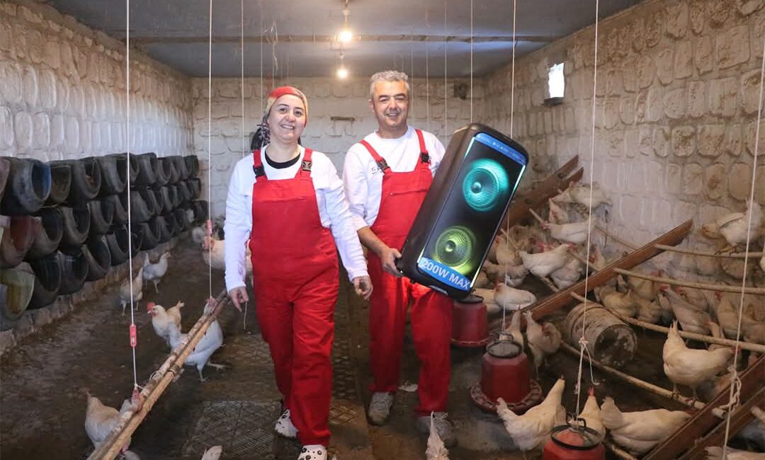 Kayseri’de Tavuklara Türk Sanat Müziği: Yumurta Verimi Arttı Kayseri’de bir yıl önce tavuk yetiştiriciliğine başlayan Halim Yahya Çakmak