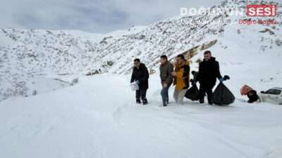 Şemdinli’de etkili olan yoğun kar yağışı nedeniyle yiyecek bulmakta zorlanan