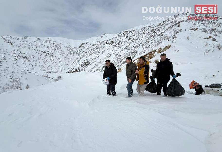 Şemdinli’de etkili olan yoğun kar yağışı nedeniyle yiyecek bulmakta zorlanan