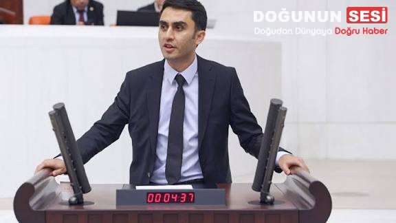 Halkların Eşitlik ve Demokrasi Partisi (DEM Parti) Hakkari Milletvekili Vezir