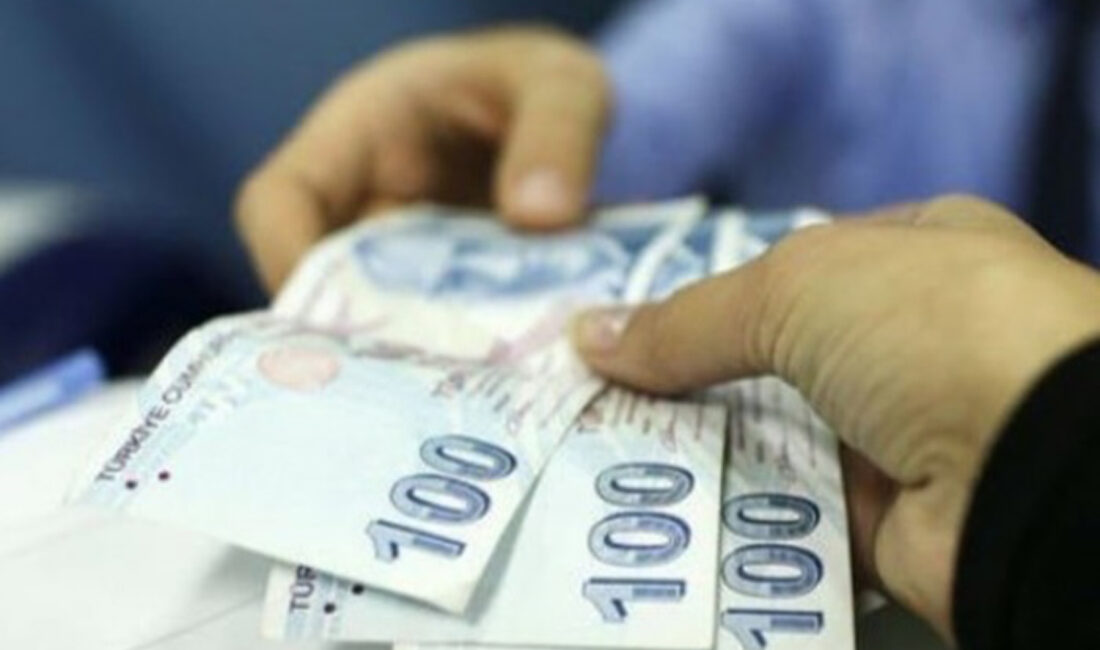 Hazine ve Maliye Bakanlığı’na bağlı Gelir İdaresi Başkanlığı’nın (GİB) ihbarcılara
