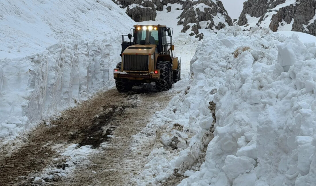 Hakkari’de Mart ayının ortasında etkisini artıran yoğun kar yağışı, ulaşımı