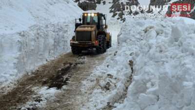Hakkari’de Mart ayının ortasında etkisini artıran yoğun kar yağışı, ulaşımı